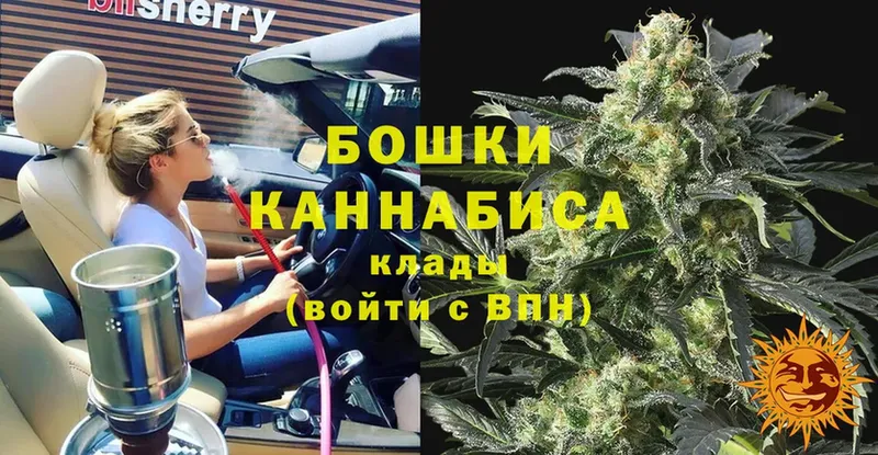 Бошки Шишки White Widow  это как зайти  Курлово 